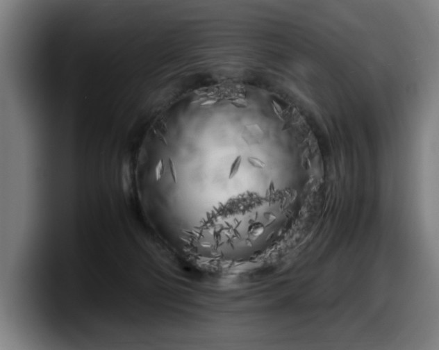 X0000099930130200805301205