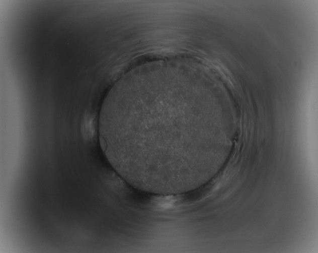 X0000099930131200805301205