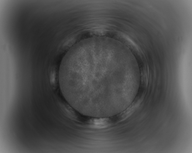 X0000099930134200805301205