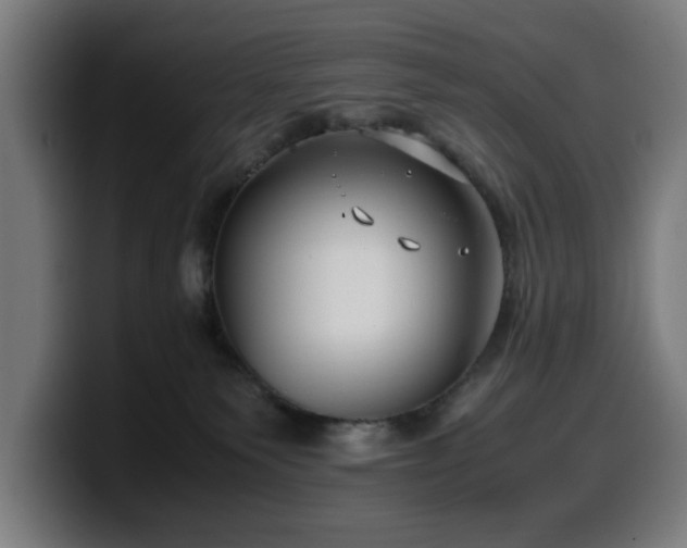 X0000099930135200805301205