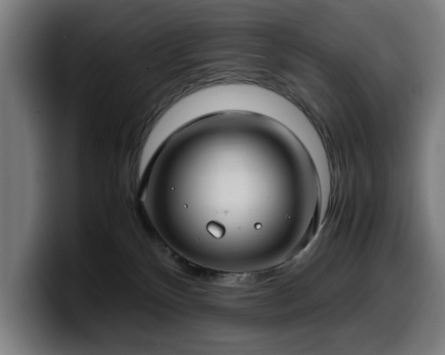 X0000099930136200805301205