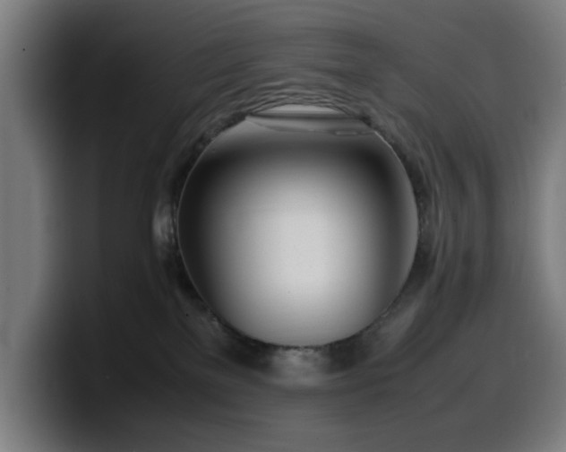 X0000099930137200805301205