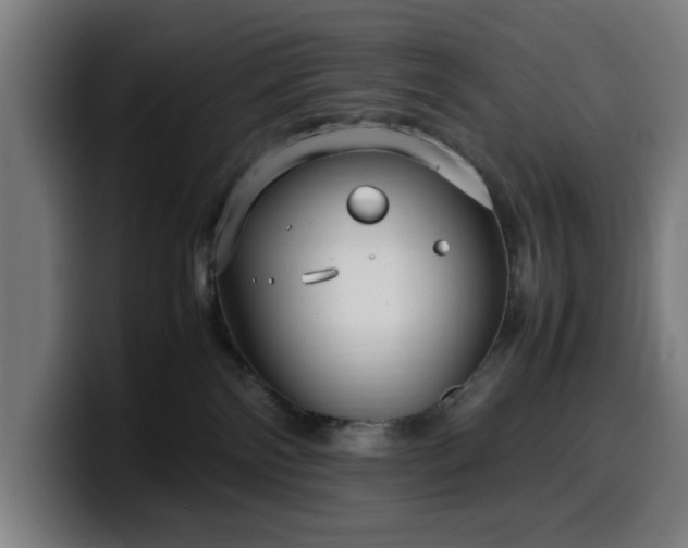 X0000099930138200805301205