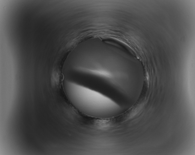 X0000099930139200805301205