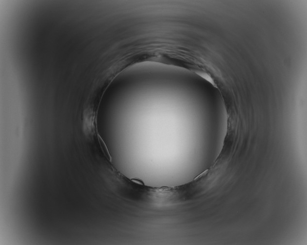 X0000099930141200805301205