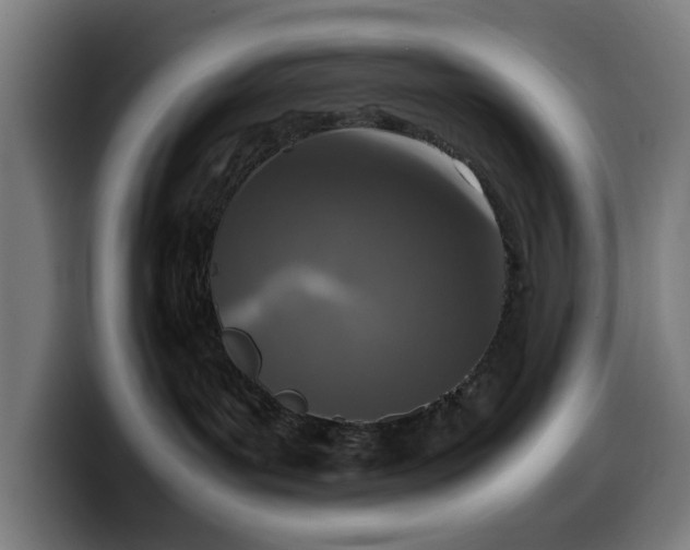 X0000099930143200805301205