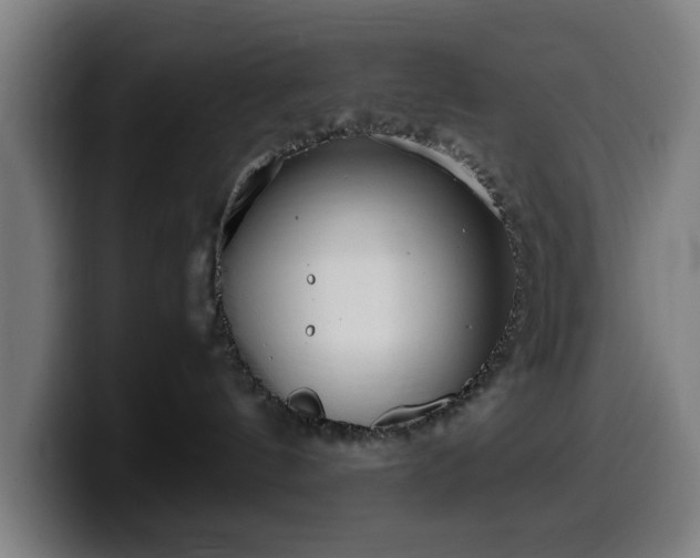 X0000099930144200805301205