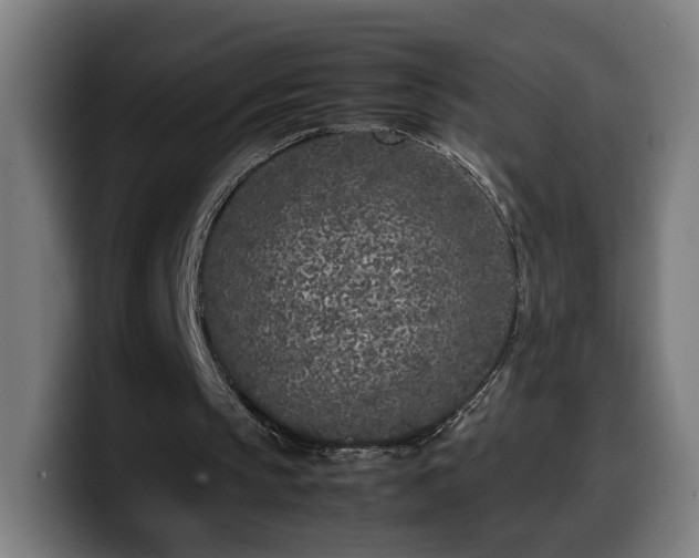 X0000099930145200805301205