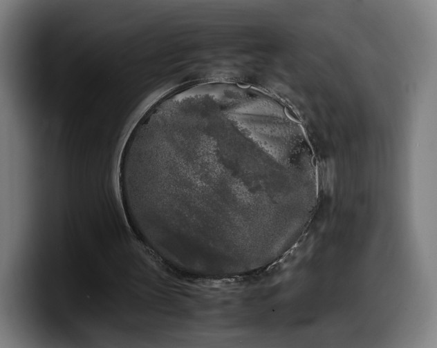 X0000099930147200805301205