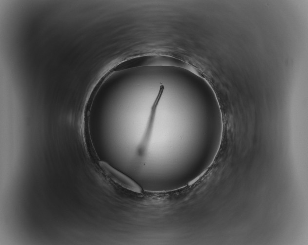 X0000099930148200805301205