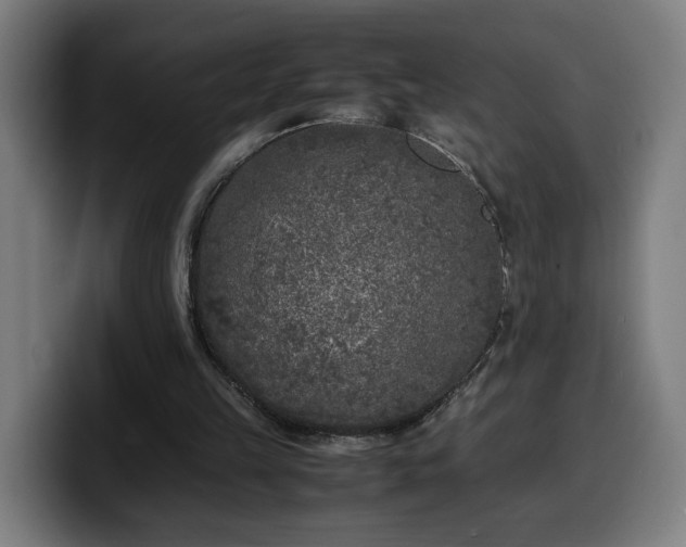 X0000099930149200805301205