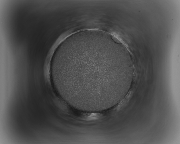 X0000099930151200805301205