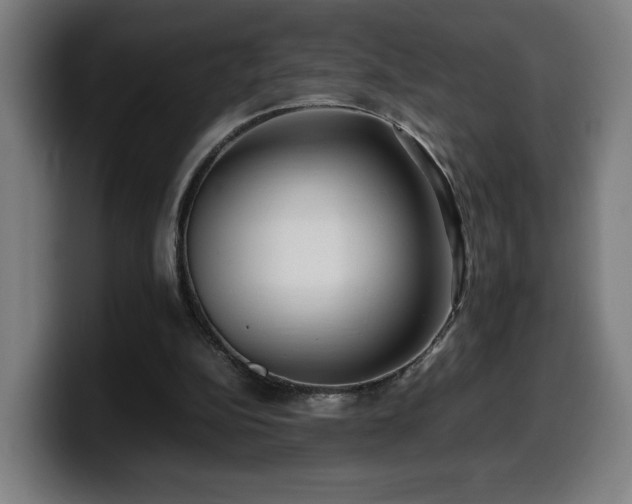 X0000099930152200805301205