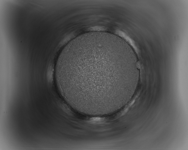 X0000099930153200805301205