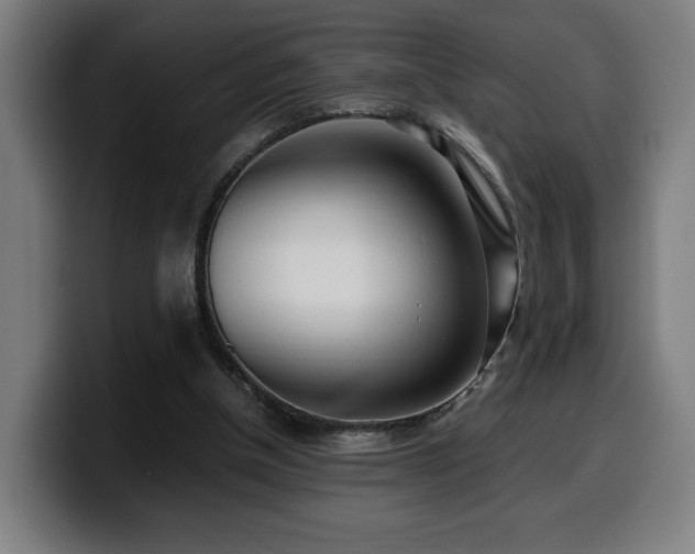 X0000099930154200805301205