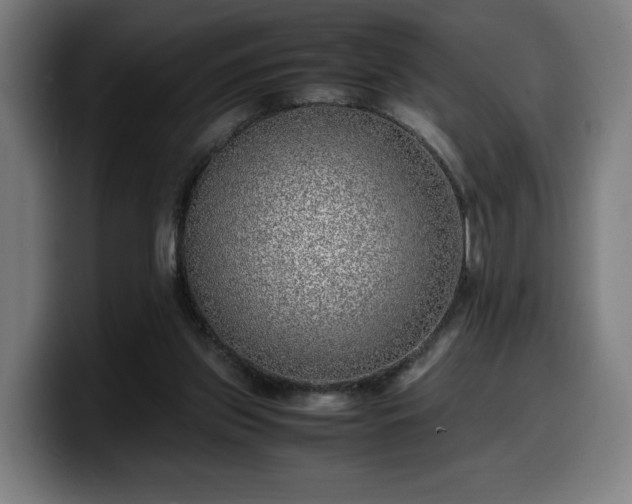 X0000099930157200805301205