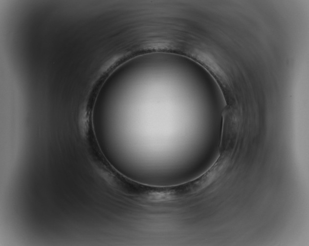 X0000099930160200805301205