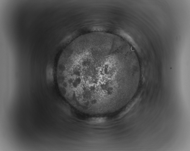 X0000099930161200805301205