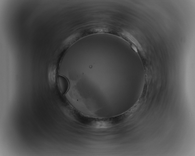 X0000099930163200805301205