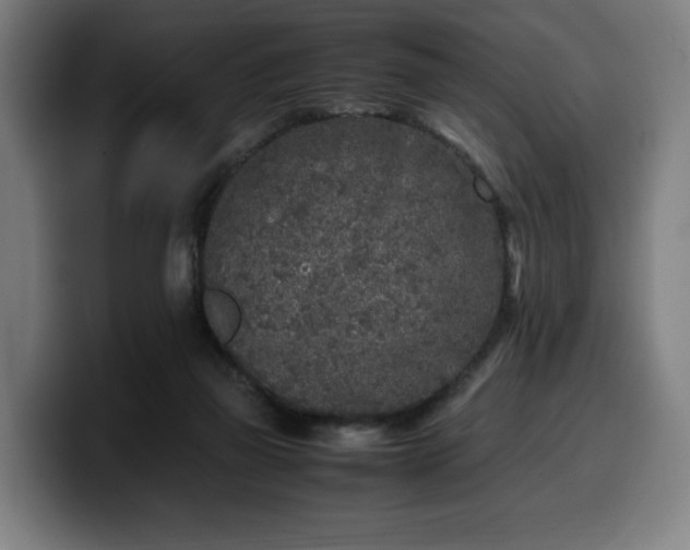 X0000099930165200805301205