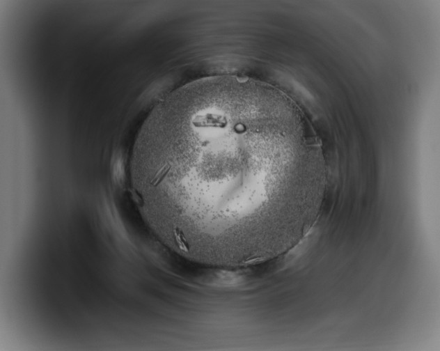 X0000099930166200805301205