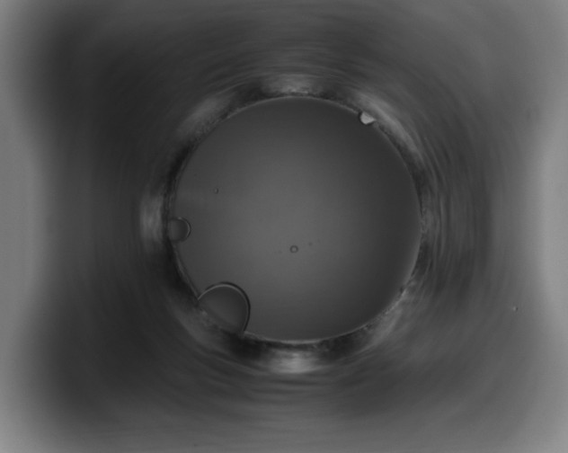 X0000099930167200805301205