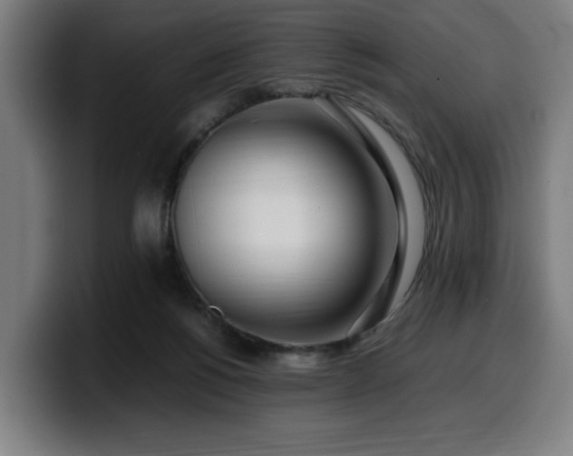 X0000099930168200805301205