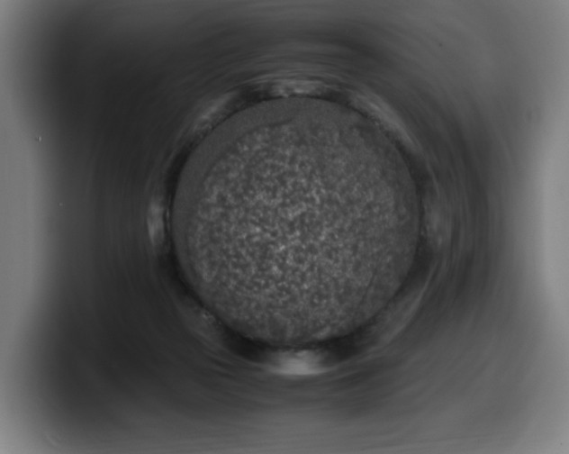 X0000099930169200805301205