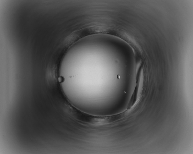 X0000099930170200805301205