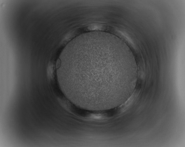 X0000099930171200805301205