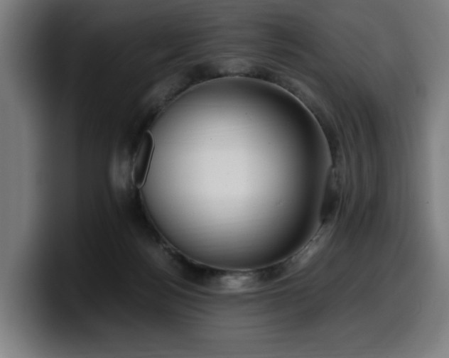 X0000099930172200805301205