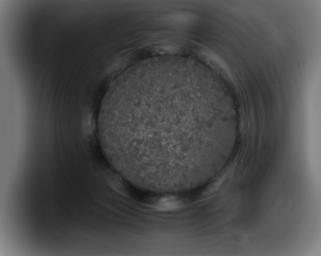 X0000099930173200805301205