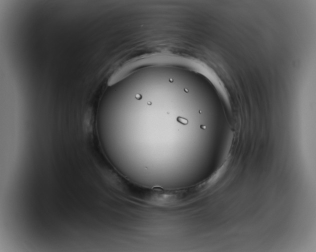 X0000099930174200805301205