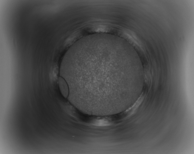 X0000099930175200805301205