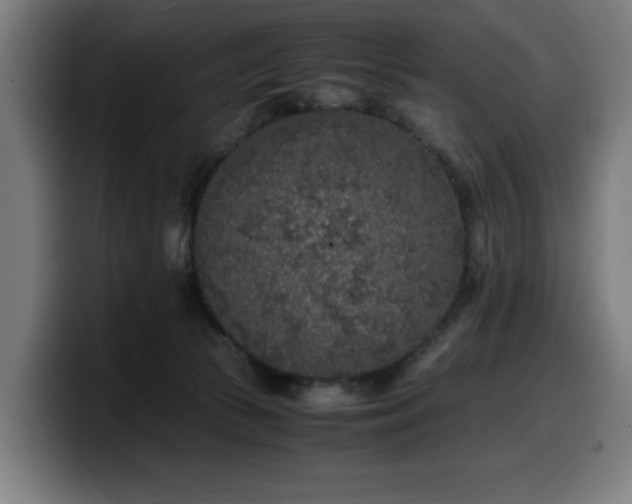 X0000099930177200805301205