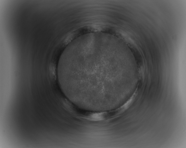 X0000099930178200805301205