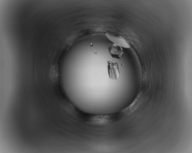 X0000099930179200805301205