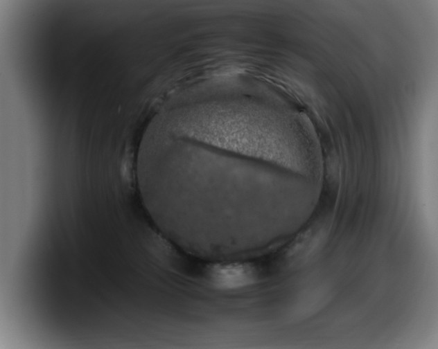 X0000099930181200805301205