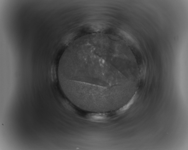 X0000099930182200805301205