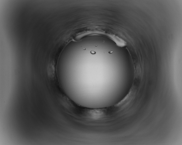 X0000099930183200805301205