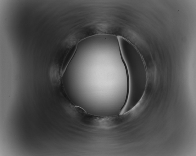 X0000099930186200805301205