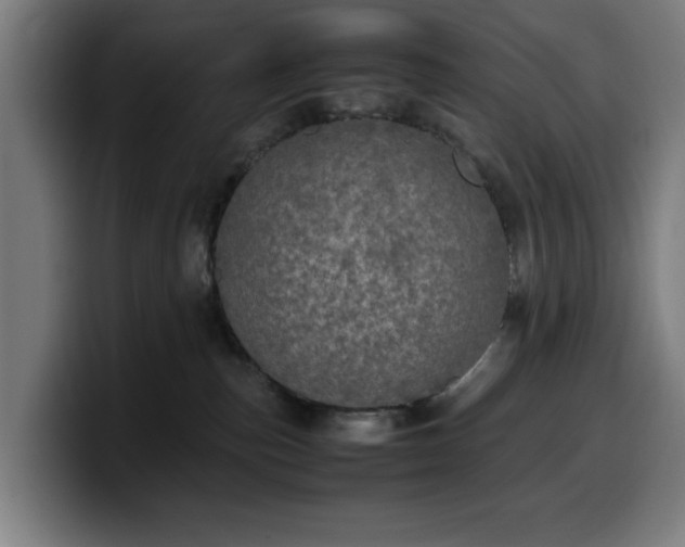 X0000099930187200805301205