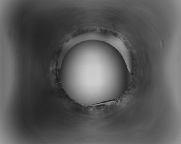 X0000099930192200805301205