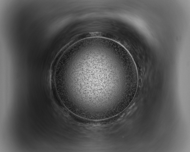 X0000099930194200805301205