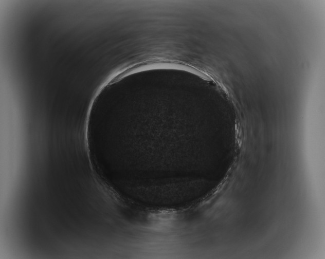 X0000099930196200805301205