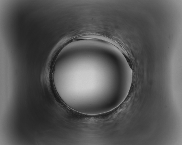 X0000099930197200805301205