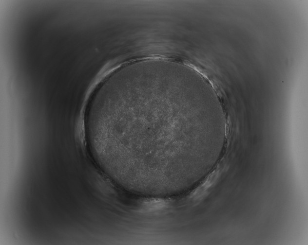 X0000099930198200805301204