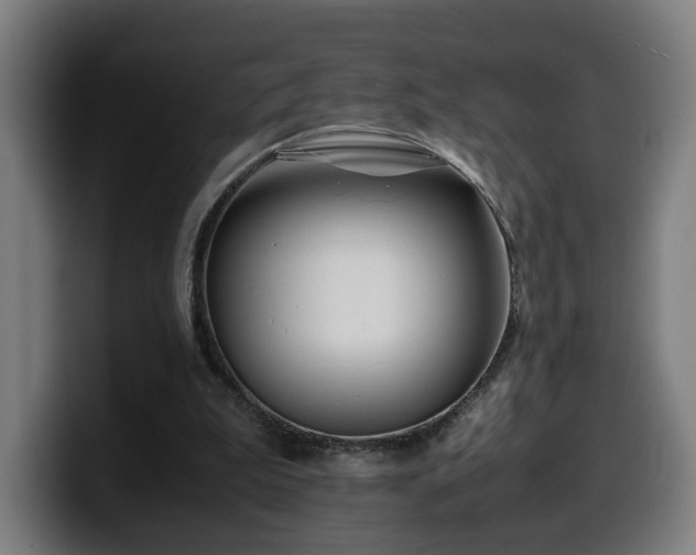 X0000099930199200805301204