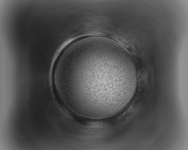 X0000099930200200805301204