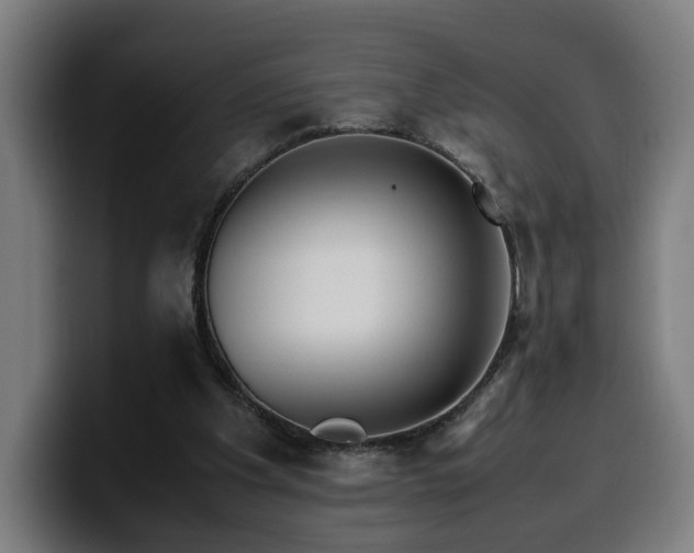 X0000099930201200805301204